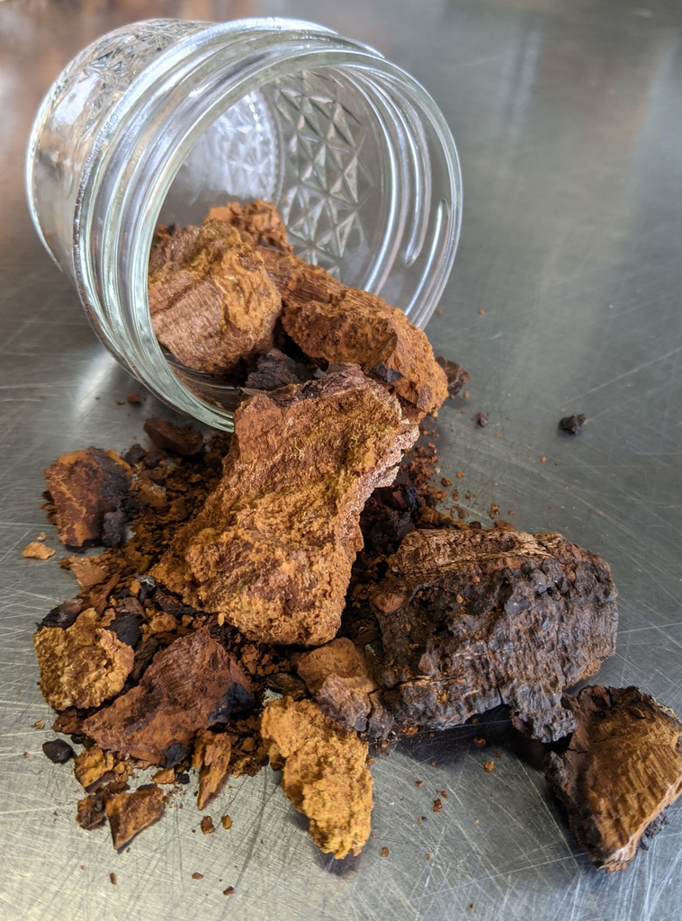 Two Pounds Chaga Mushroom Powder - Wild Harvested in Michigan - Raw - Non GMO - 2024 High Potency - Superior Quality